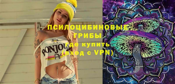 не бодяженный Дмитриев