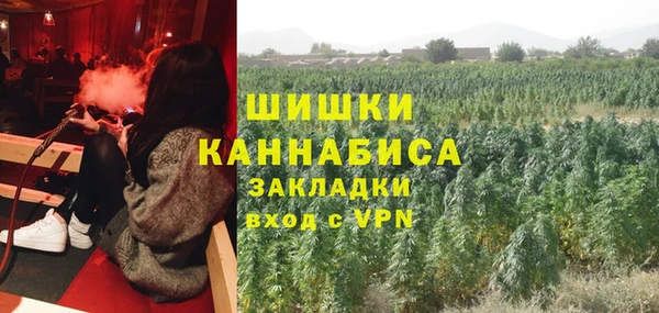 стаф Гусиноозёрск