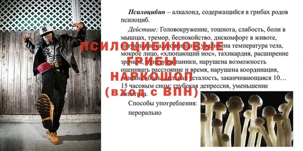 не бодяженный Дмитриев