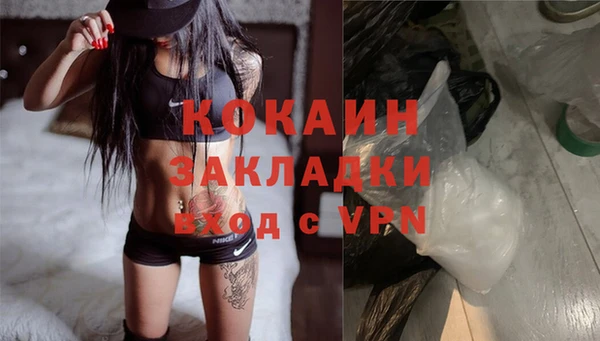 МДПВ Гусев