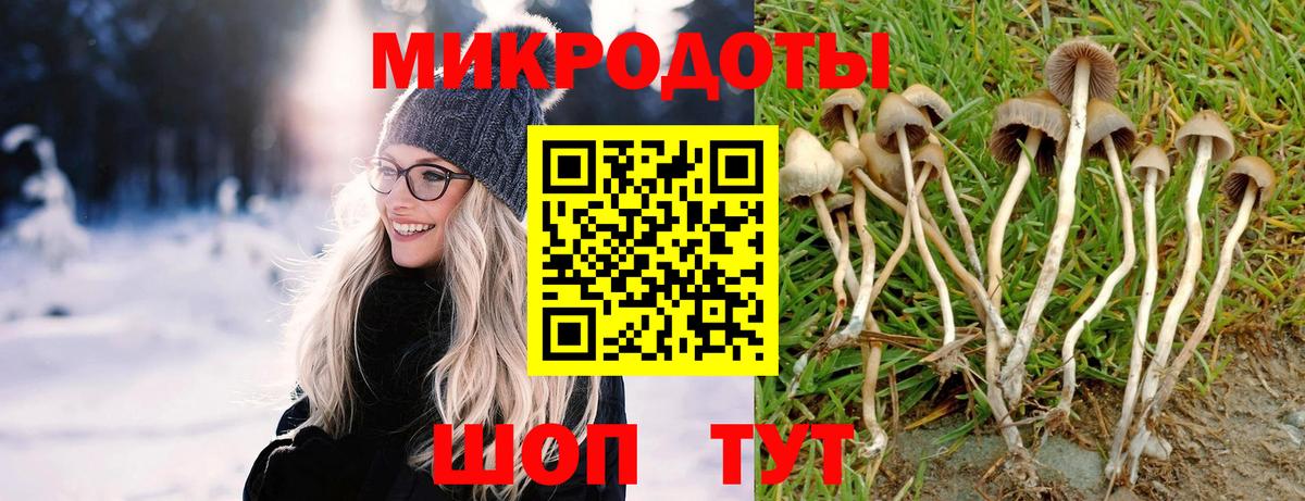 Мценск  Псилоцибиновые грибы Cubensis  Вход с VPN 